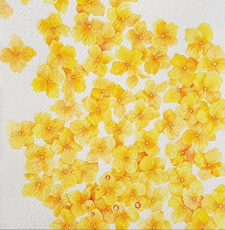 四季水彩花卉插畫(huà)，驚艷唯美!