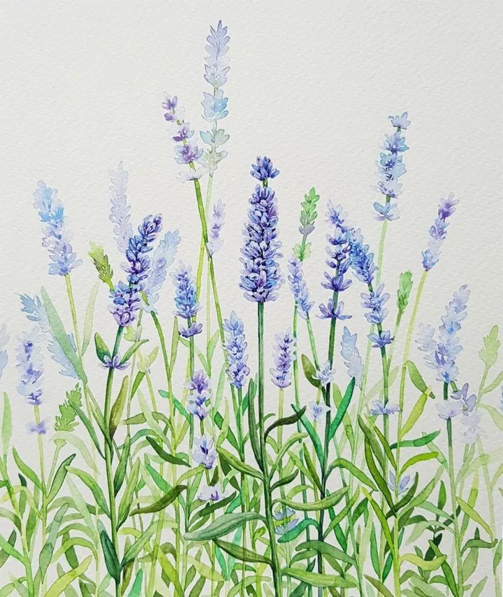 四季水彩花卉插畫(huà)，驚艷唯美!