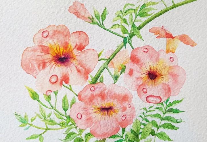 四季水彩花卉插畫，驚艷唯美!