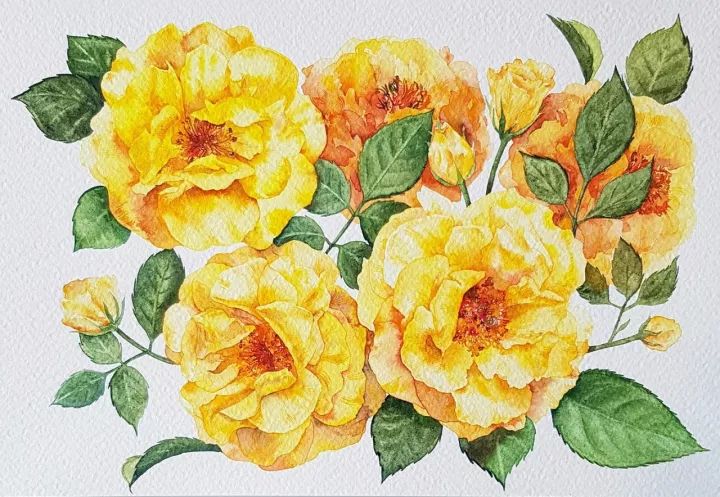 四季水彩花卉插畫，驚艷唯美!