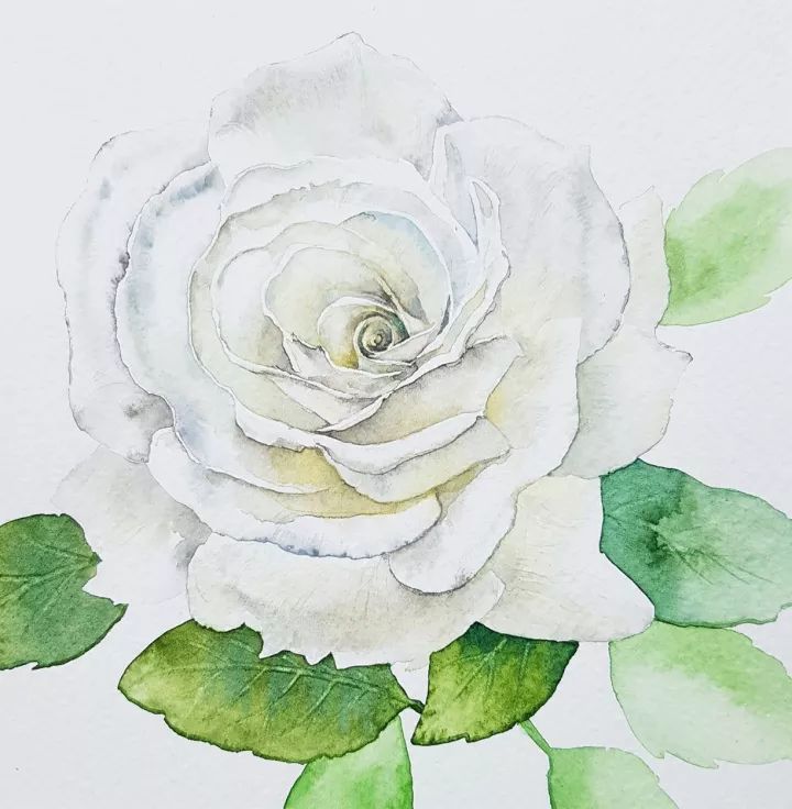 四季水彩花卉插畫，驚艷唯美!