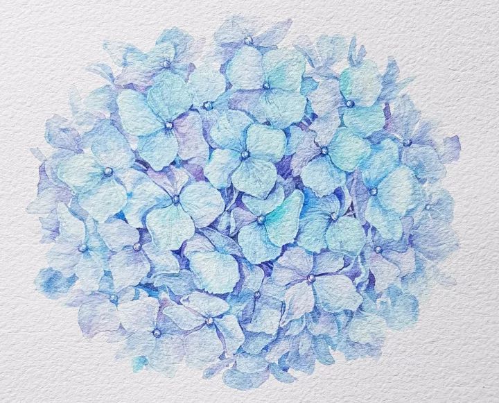 四季水彩花卉插畫，驚艷唯美!