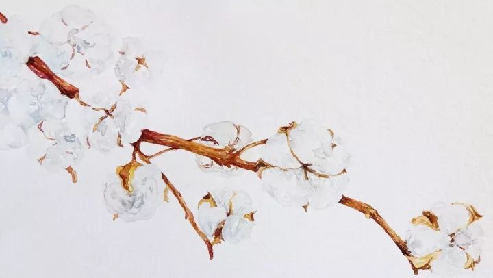 四季水彩花卉插畫(huà)，驚艷唯美!