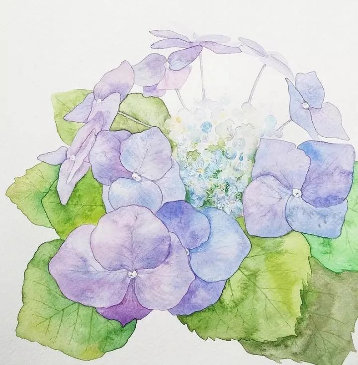 四季水彩花卉插畫(huà)，驚艷唯美!