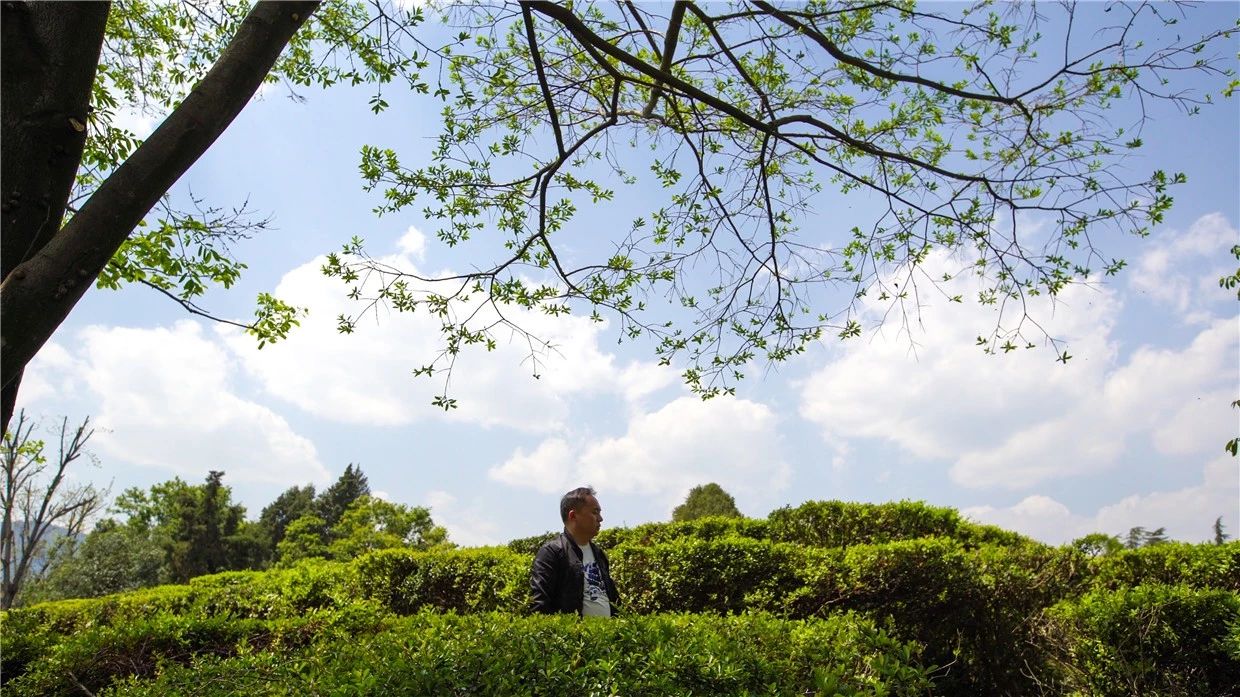 昆明·will酒店，守著這份初心遇見有趣的靈魂