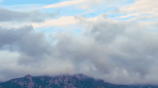 青島·町舍，風(fēng)花雪月的景卻歷久彌新！