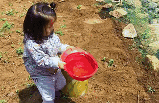 青島·町舍，風(fēng)花雪月的景卻歷久彌新！
