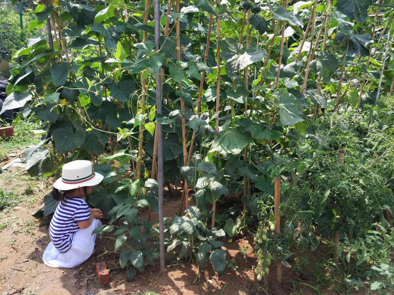 青島·町舍，風花雪月的景卻歷久彌新！