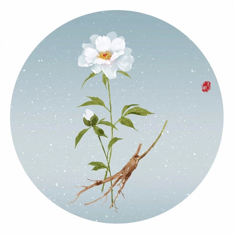 清新古風花卉插畫，清雅如詩的插畫圖片