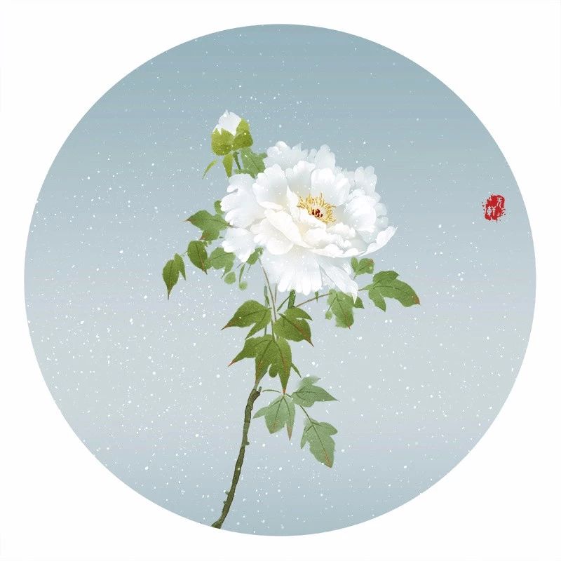 清新古風花卉插畫，清雅如詩的插畫圖片