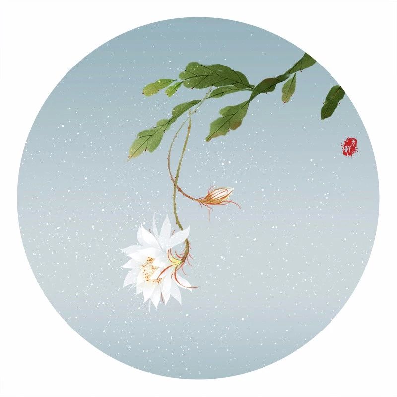 清新古風花卉插畫，清雅如詩的插畫圖片