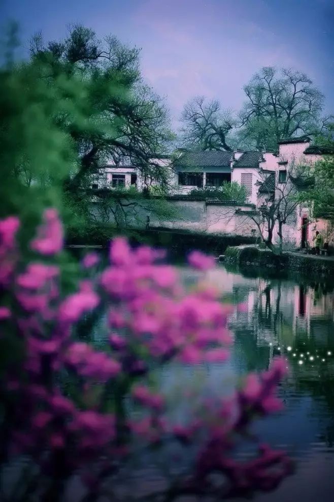 最美江南風(fēng)景：人間最憶江南春