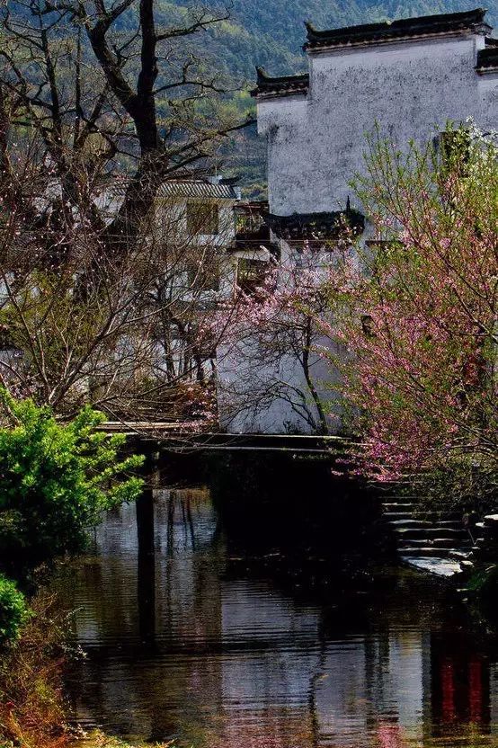 最美江南風(fēng)景：人間最憶江南春