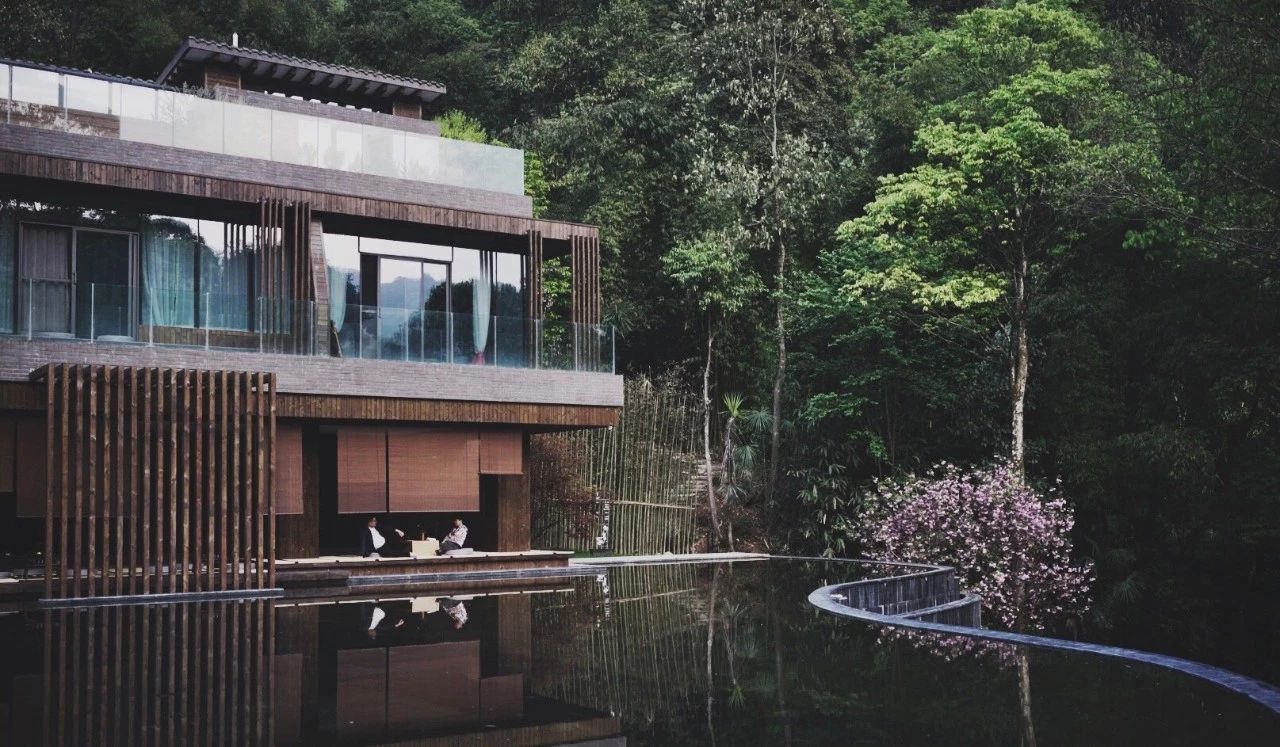 成都·坐忘森林，一宿一悟在火鍋之城住森林里