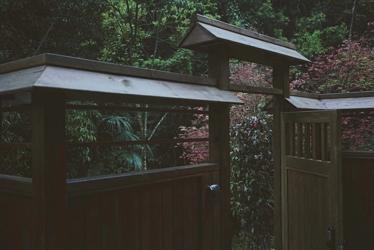 成都·坐忘森林，一宿一悟在火鍋之城住森林里