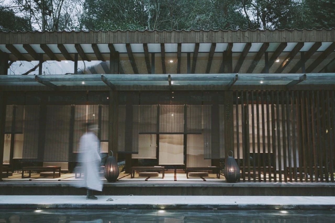 成都·坐忘森林，一宿一悟在火鍋之城住森林里