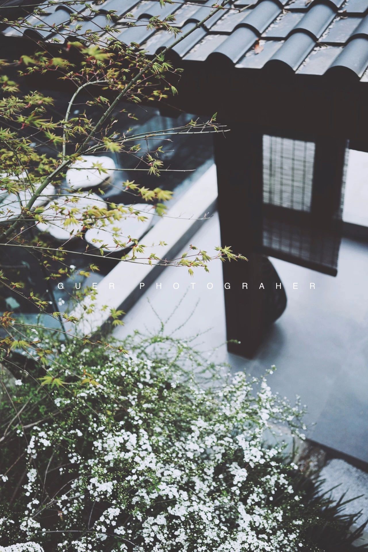 成都·坐忘森林，一宿一悟在火鍋之城住森林里