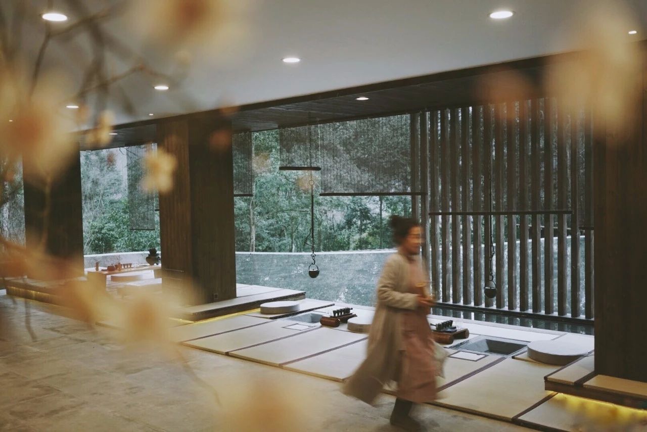 成都·坐忘森林，一宿一悟在火鍋之城住森林里