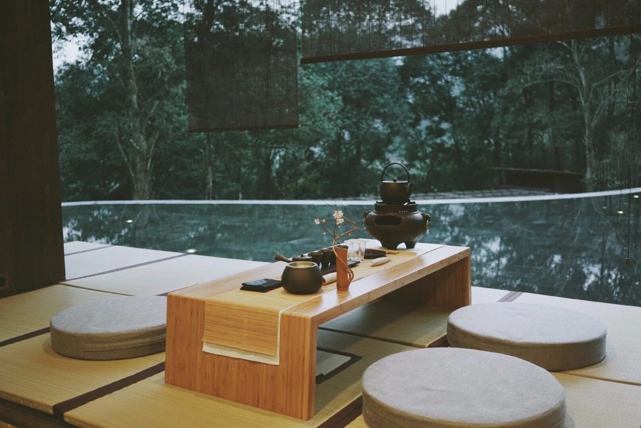 成都·坐忘森林，一宿一悟在火鍋之城住森林里