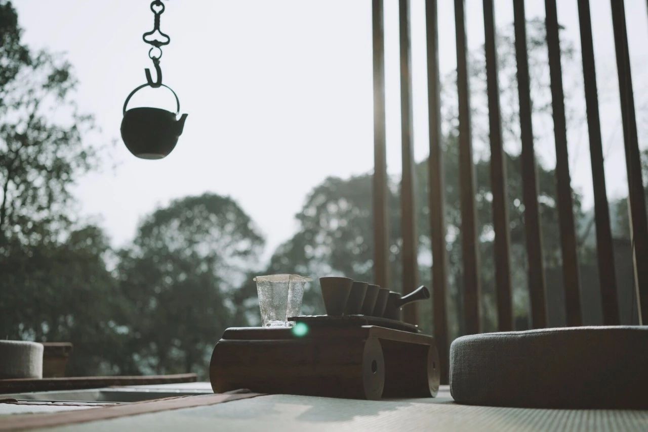 成都·坐忘森林，一宿一悟在火鍋之城住森林里