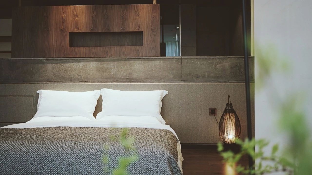 成都·坐忘森林，一宿一悟在火鍋之城住森林里