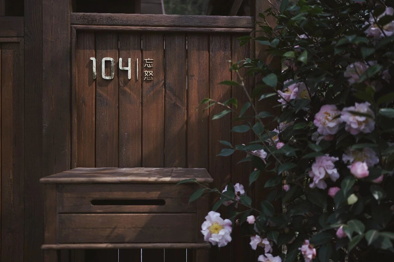 成都·坐忘森林，一宿一悟在火鍋之城住森林里