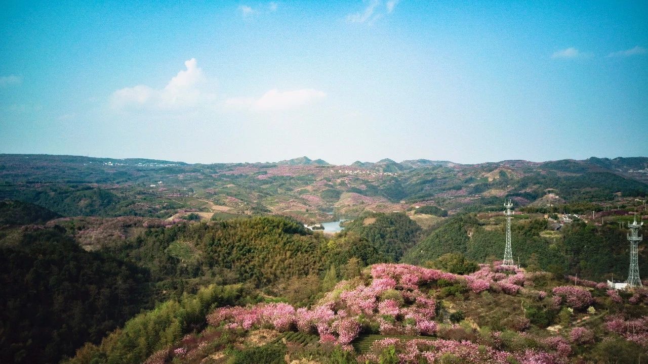 大樂之野·谷舍，遺忘的美好之地的正確打開方式