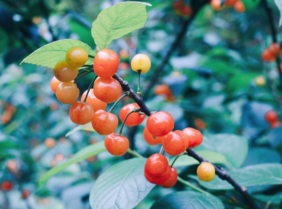 大樂之野·谷舍，遺忘的美好之地的正確打開方式