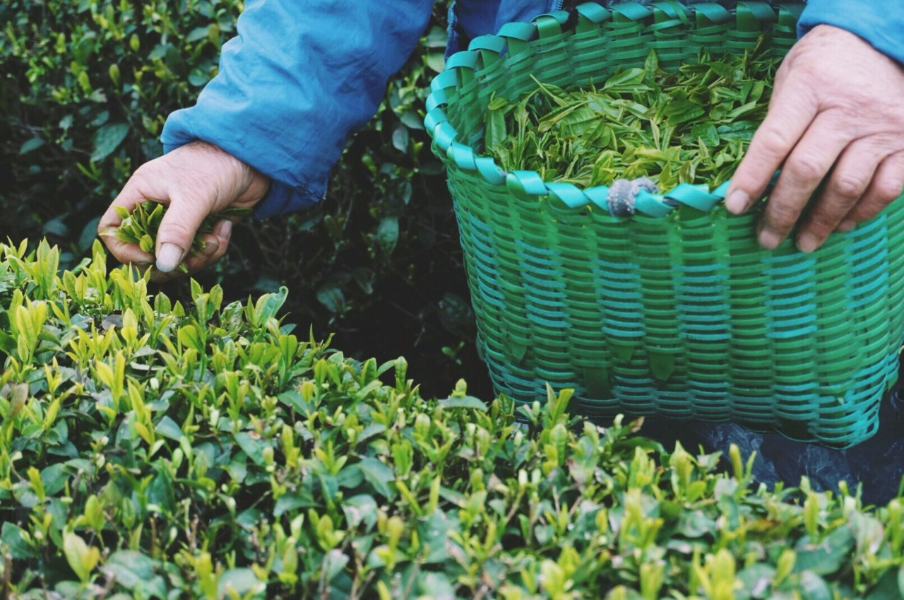 大樂之野·谷舍，遺忘的美好之地的正確打開方式