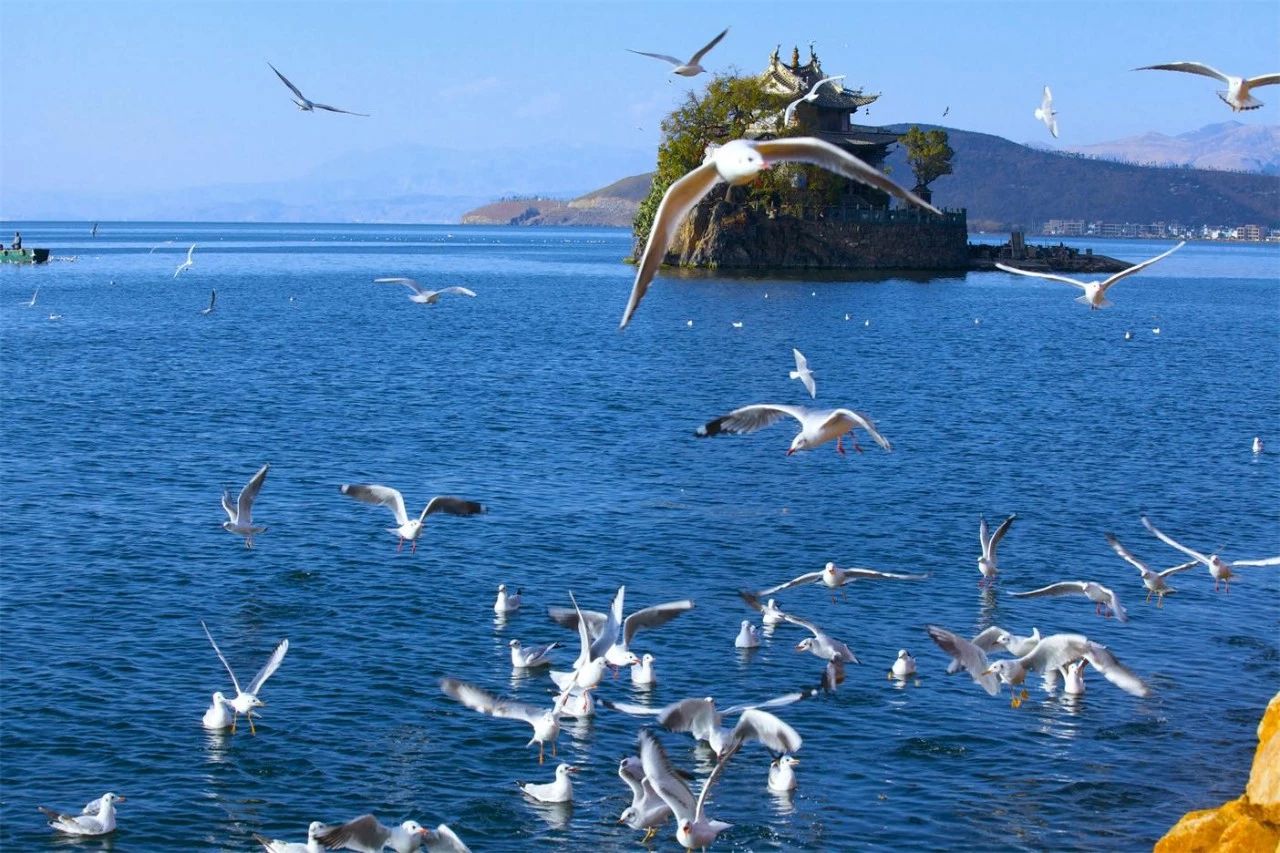 大理·沐林苑，擇一處小院賞四季明媚