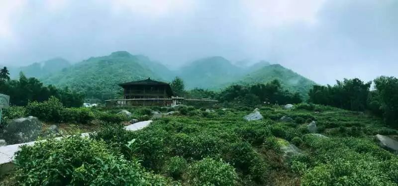 九華山·開(kāi)元美途，置身俗塵外身心天地寬