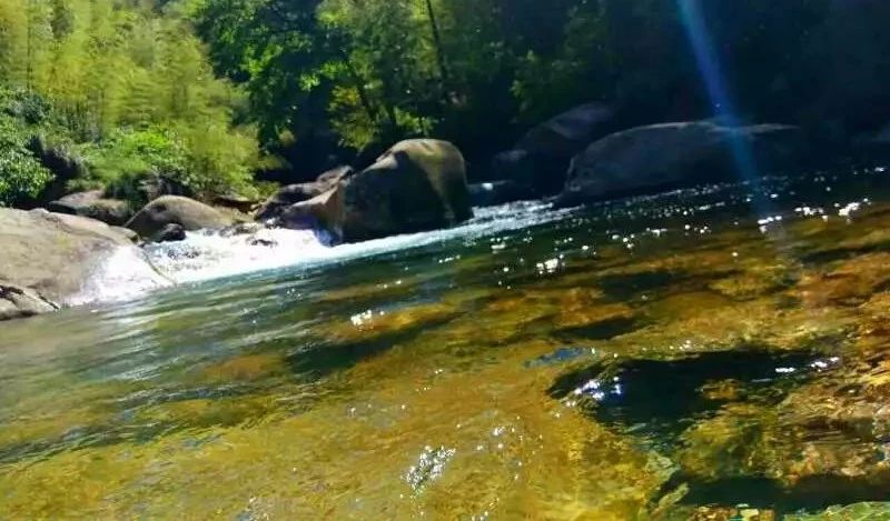 九華山·開元美途，置身俗塵外身心天地寬