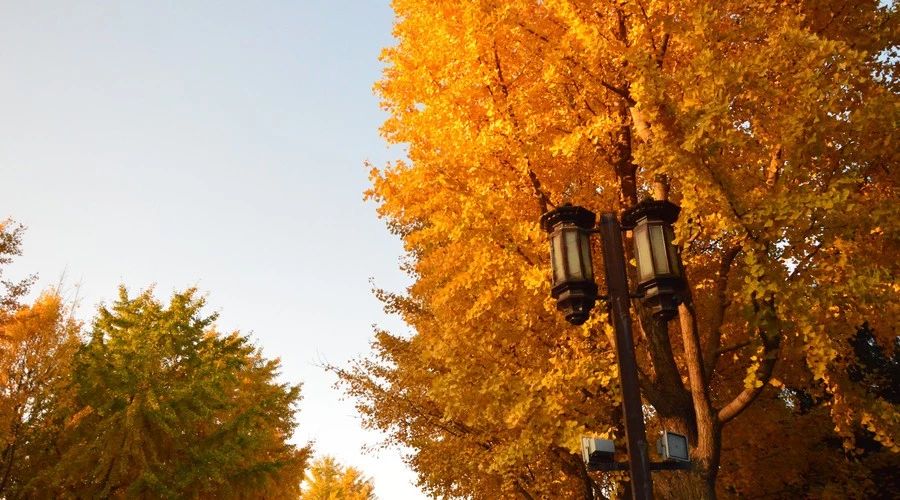 九華山·開元美途，置身俗塵外身心天地寬