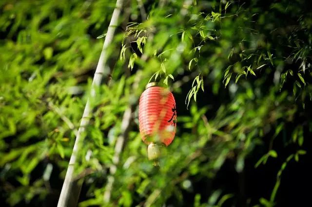 九華山·開元美途，置身俗塵外身心天地寬