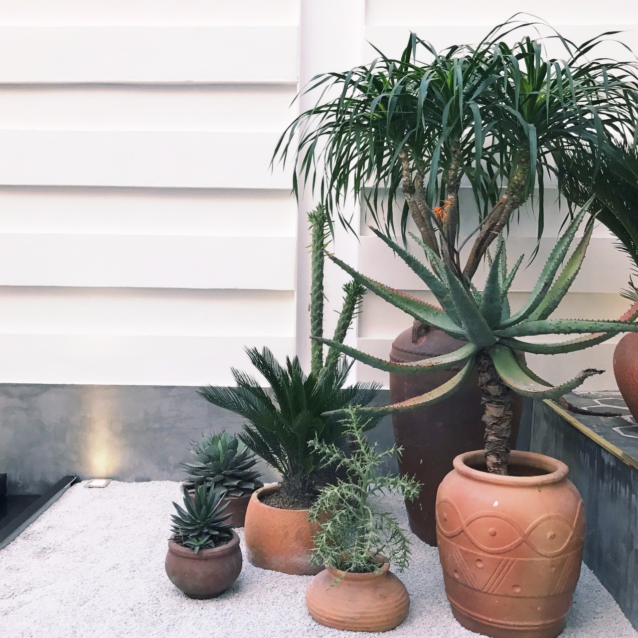 心湖·尚客堂，時(shí)光尚好待客尋來(lái)