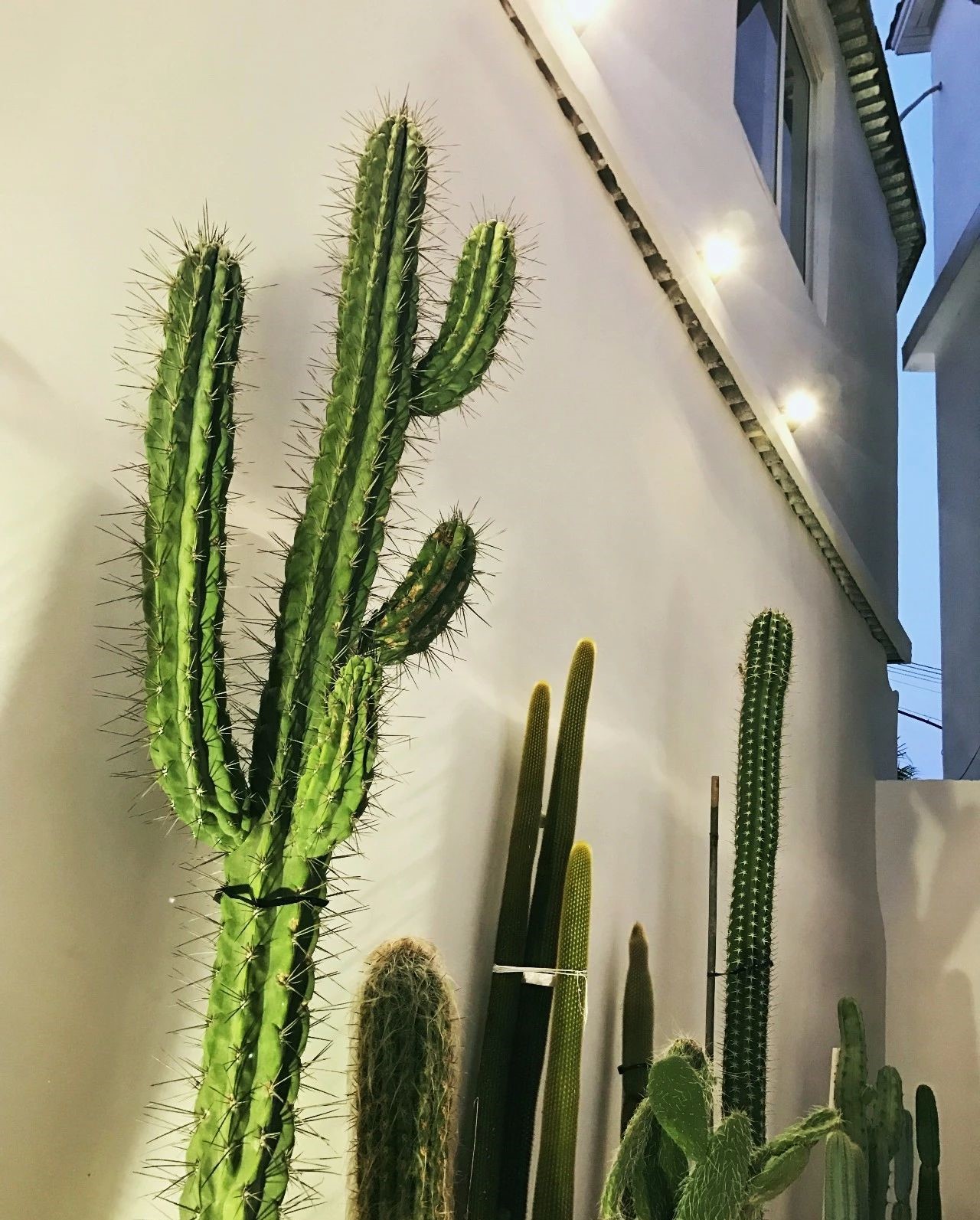 心湖·尚客堂，時(shí)光尚好待客尋來(lái)