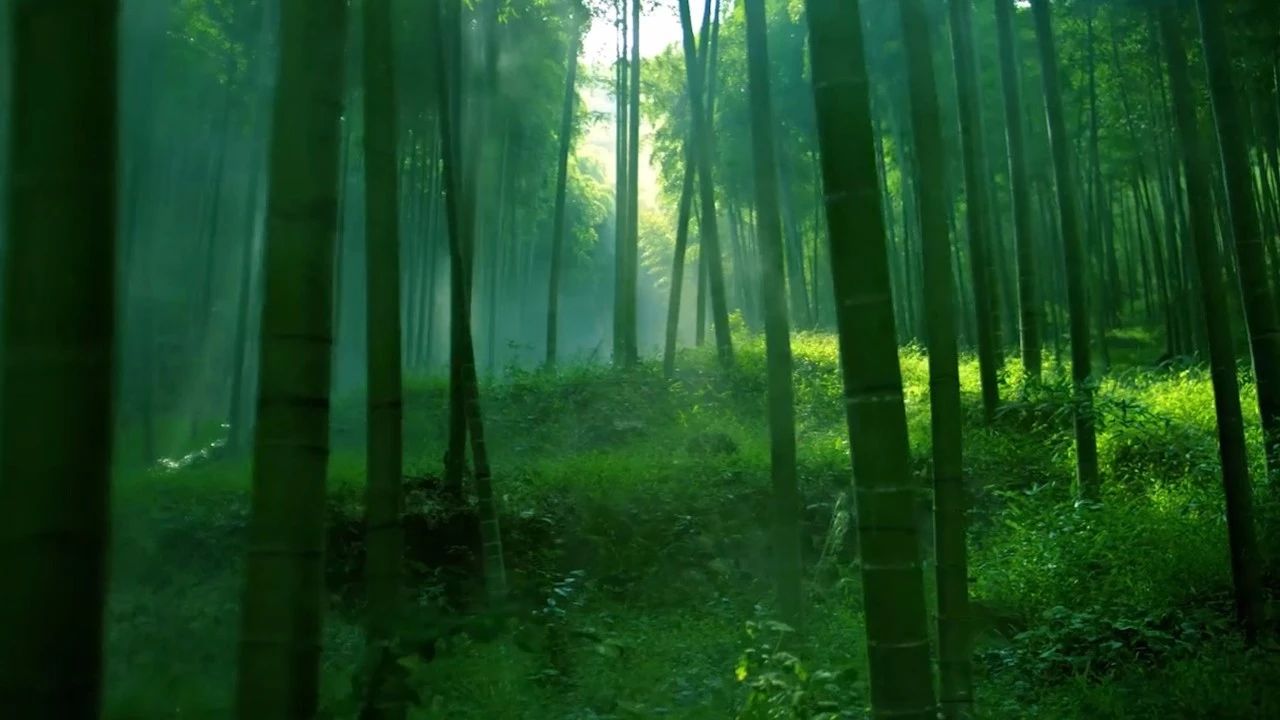 德清·莫干山諾富特酒店，找回初心永遠(yuǎn)不晚