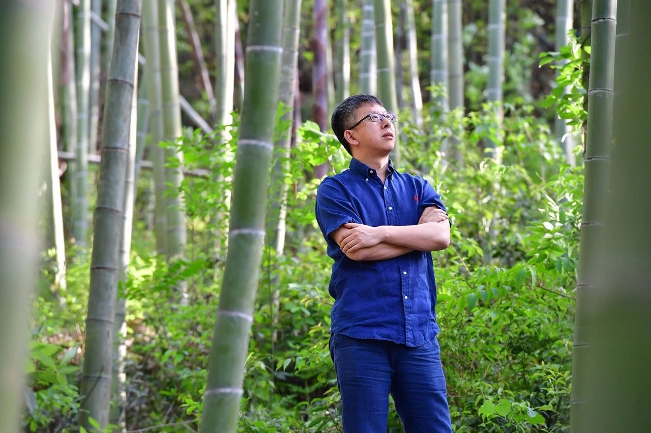 德清·莫干山諾富特酒店，找回初心永遠(yuǎn)不晚