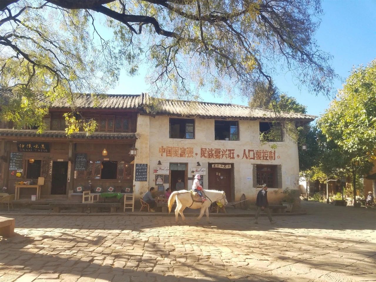 麗江·眾聚，等下一個輪回聚集一圈有趣的靈魂