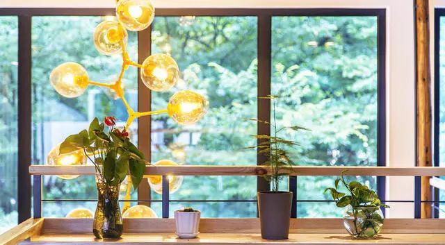 大樂(lè)之野·長(zhǎng)丘田，許下每一個(gè)諾言都令人期待