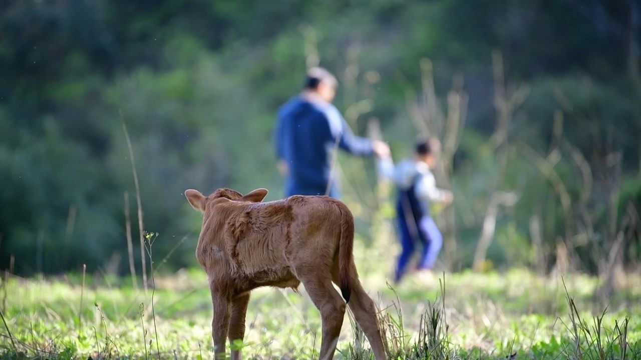 大樂(lè)之野·長(zhǎng)丘田，許下每一個(gè)諾言都令人期待
