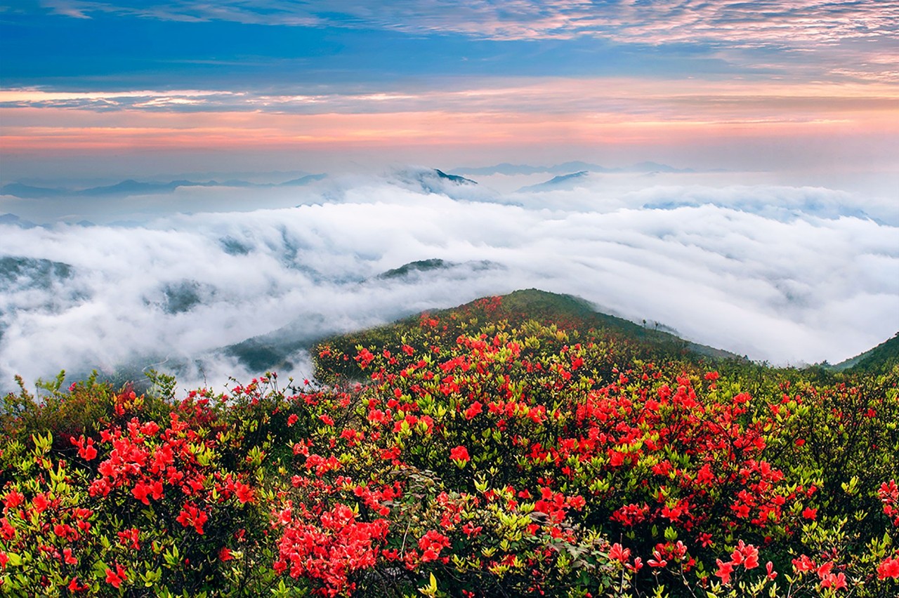 麗水云和·在田間，中國傳統(tǒng)水墨山水的意境