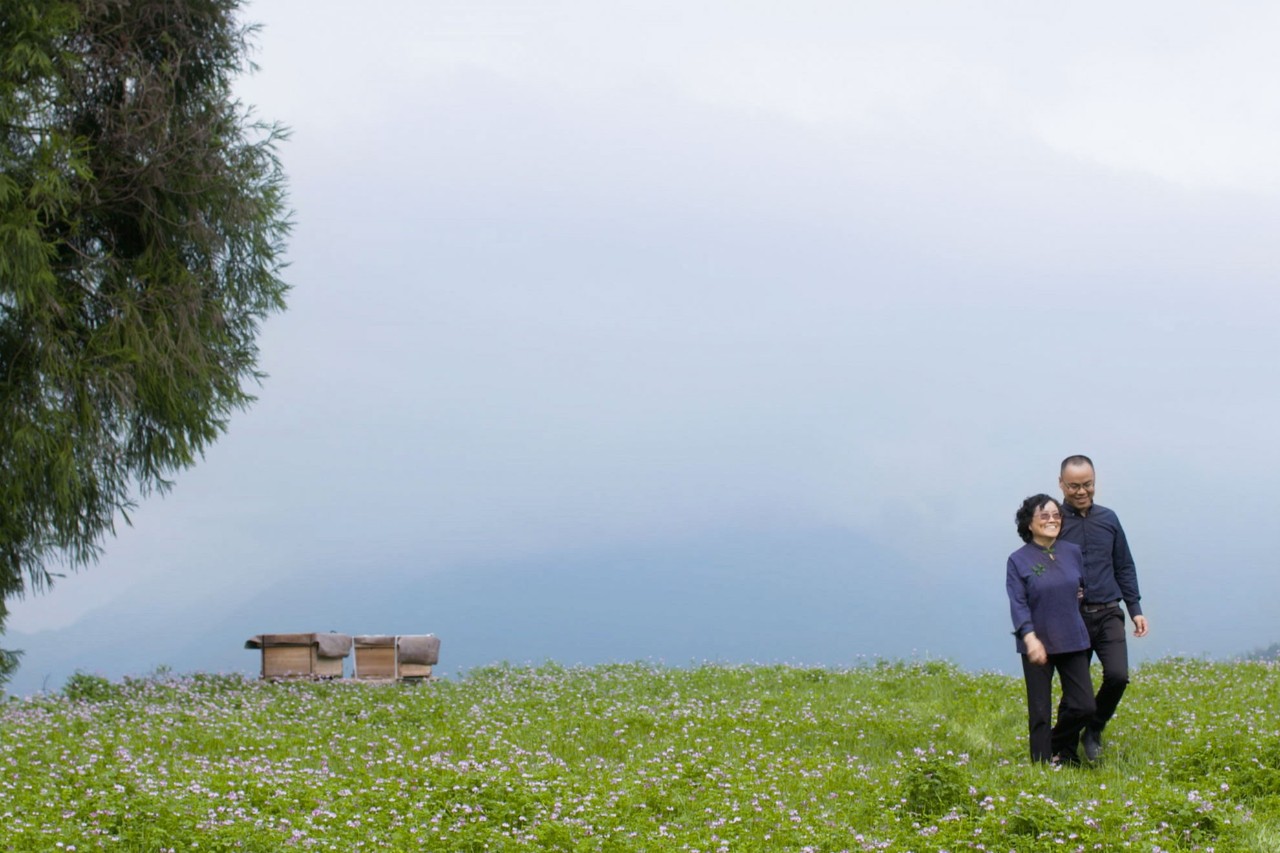 麗水云和·在田間，中國(guó)傳統(tǒng)水墨山水的意境