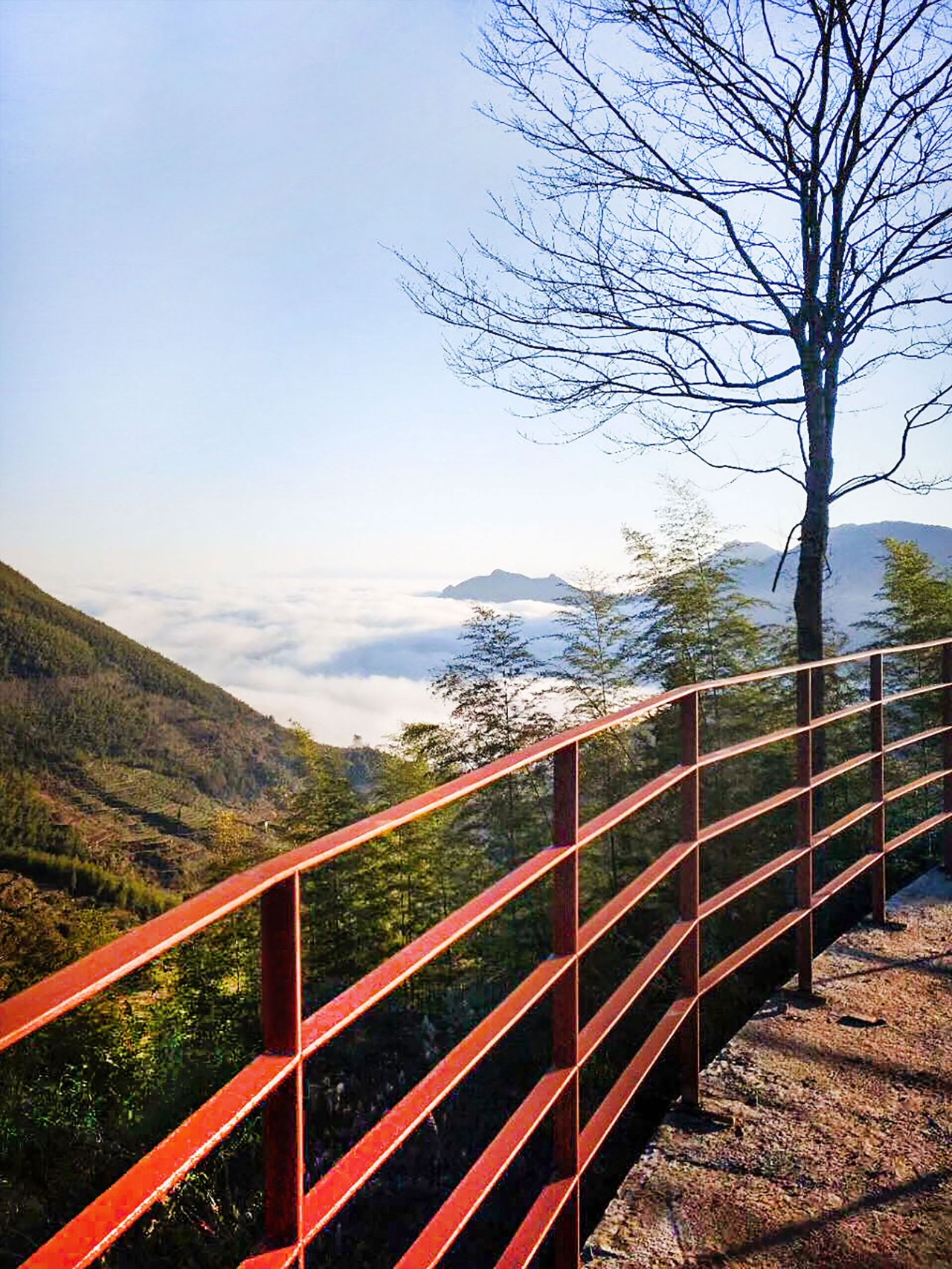 麗水云和·在田間，中國(guó)傳統(tǒng)水墨山水的意境