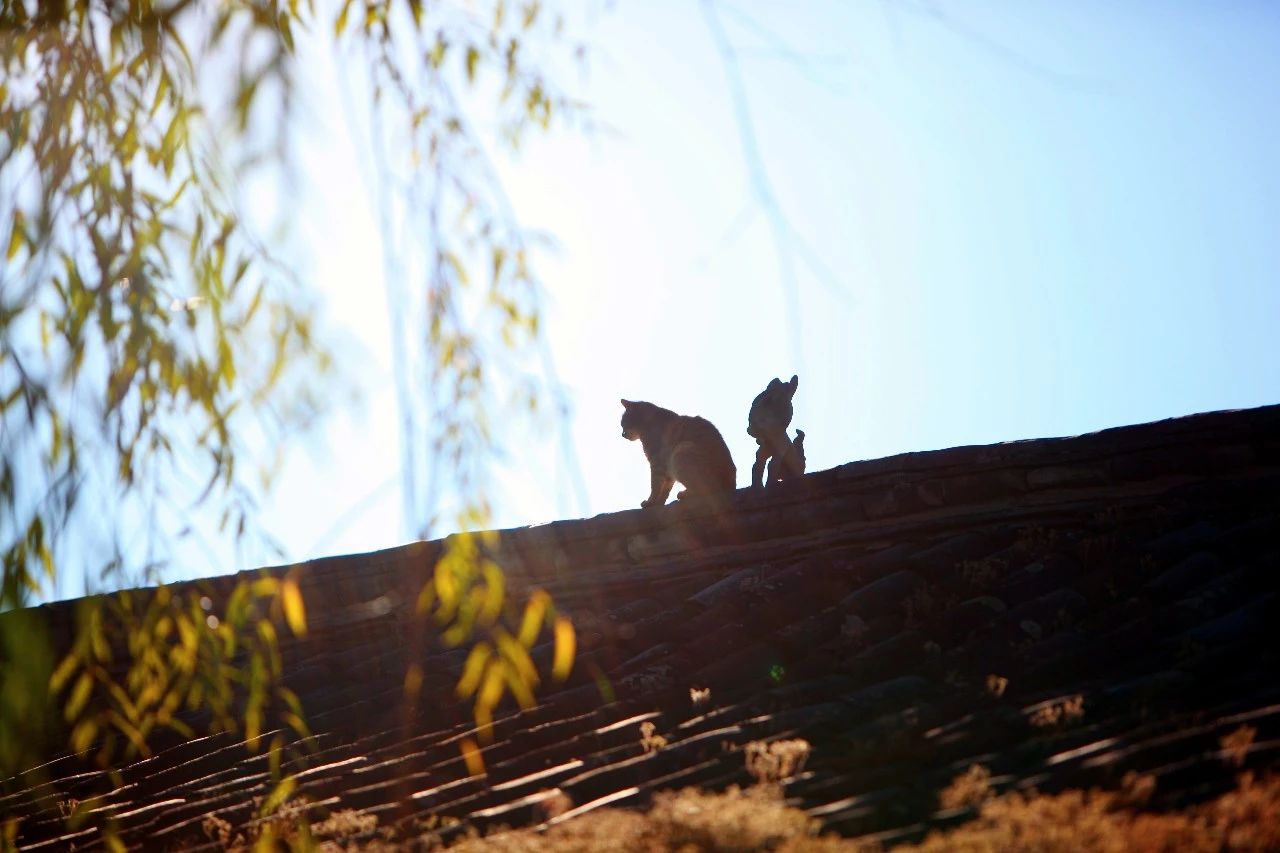 麗江·浮云社，將一切凡塵俗世都看作浮云