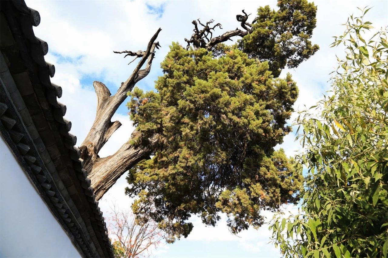 麗江·浮云社，將一切凡塵俗世都看作浮云