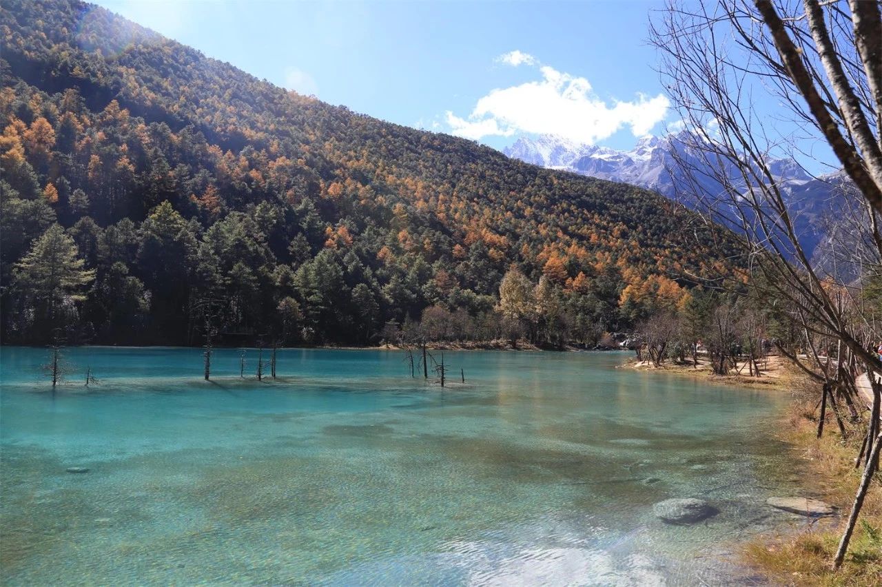 麗江·浮云社，將一切凡塵俗世都看作浮云