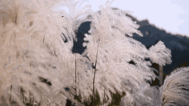 麻城·云夢(mèng)如故，山里的房子就該有山里的味道