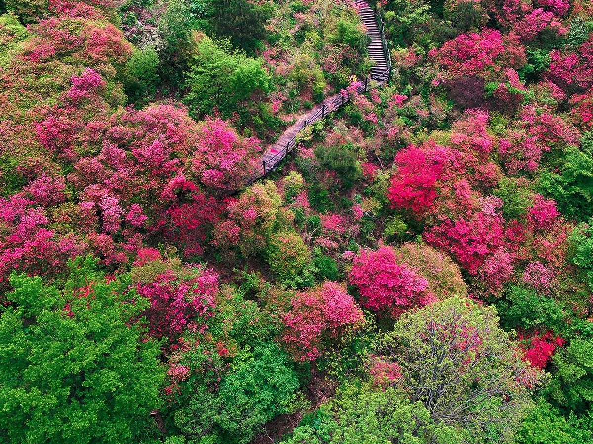 麻城·云夢如故，山里的房子就該有山里的味道