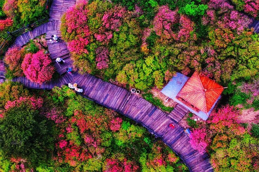 麻城·云夢如故，山里的房子就該有山里的味道